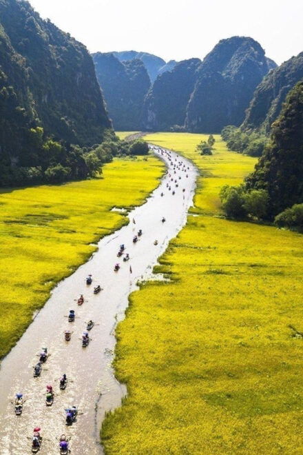 Hoa Lu - Tam Coc - Mua Cave 1 Day Tour - Customer Reviews