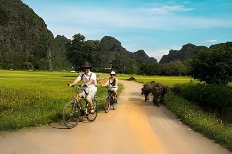Hoa Lu - Tam Coc - Mua Cave Full Day - Tour Overview