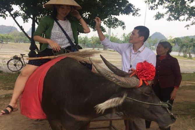 Hoa Lu & Tam Coc & Mua Cave Tour [Japanese Guide, Limousine Bus, Small Boat Boarding Fee, Lunch Incl - Common Questions