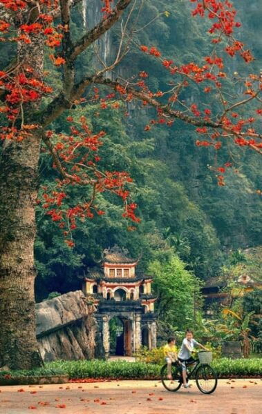 Hoa Lu-Trang An-Mua Cave-Bich Dong-Pagoda From Ninh Binh - Exploring Trang An