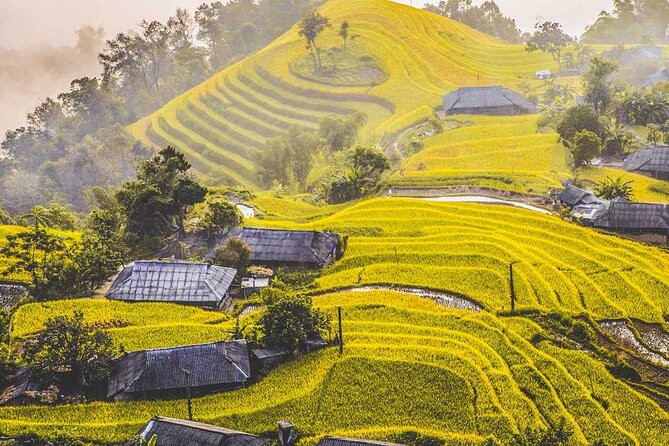 Hoang Su Phi Trekking Tour 3 Days 2 Nights - Stunning Landscapes and Natural Beauty