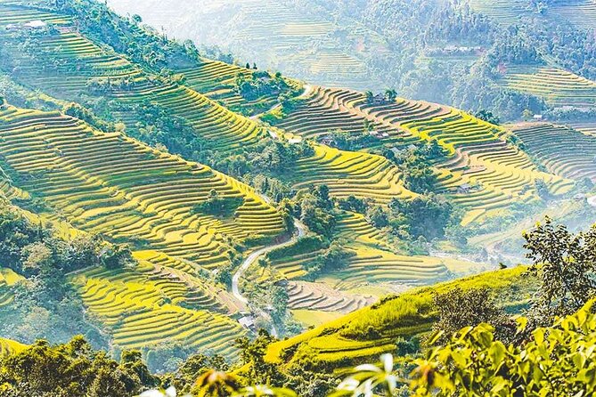 Hoang Su Phi Trekking Tour 3 Days 2 Nights - Highlights of the Hoang Su Phi Trekking Tour