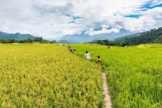 Hoang Su Phi Trekking Tour 3 Days 2 Nights - Experience the Local Culture and Ethnic Tribes