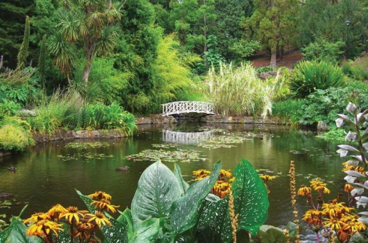 Hobart: 3-Hour City Sightseeing Tour by Tram - Inclusions