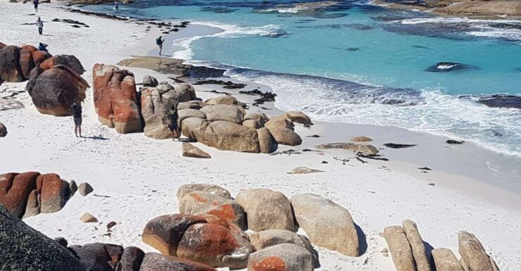 Hobart: 4 Day Wild Tasmania Tour - Good To Know