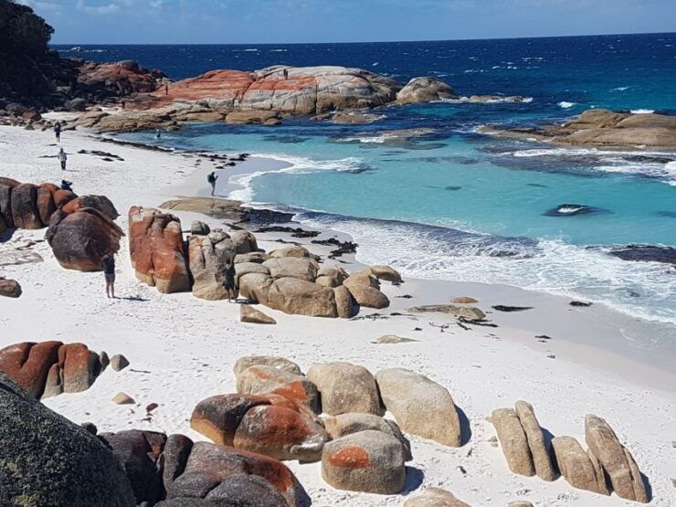 Hobart: 4 Day Wild Tasmania Tour - Activity Details