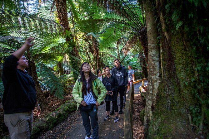 Hobart: 7hr Shore Excursion: Mt. Field, Russell Falls & Wildlife - Good To Know