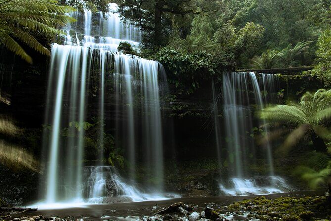 Hobart: 7hr Shore Excursion: Mt. Field, Russell Falls & Wildlife - Final Thoughts