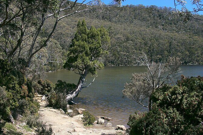 Hobart Adventurer Day Tour | Amazing Views & Native Wildlife - A Deep Dive into the Itinerary and What You’ll Actually Experience