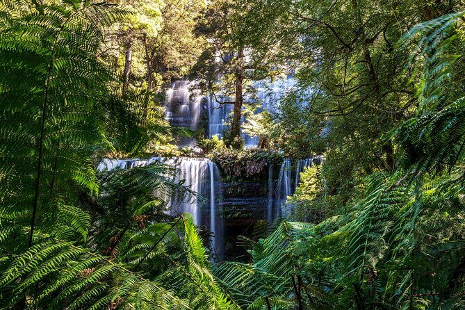 Hobart Adventurer Day Tour | Amazing Views & Native Wildlife - Final Thoughts: Is This Tour Right for You?