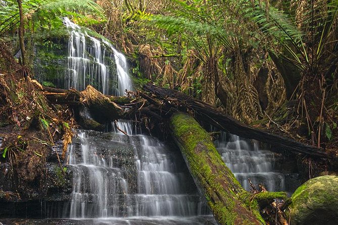 Hobart and Surrounds Photography Workshop - Additional Information
