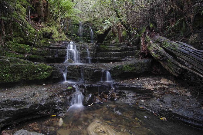 Hobart and Surrounds Photography Workshop - Example Review