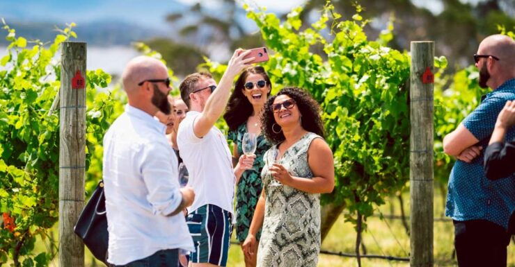 Hobart: Best of Tasmanian Wine Day Tour With Drink Tasmania - Experience