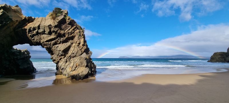 Hobart: Bruny Island Adventure - Hike, Highlights & Tastes - The Neck: 279 steps and a penguin-burrow boardwalk