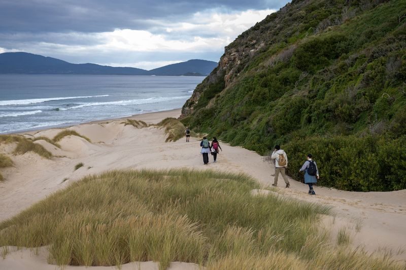 Hobart: Bruny Island Adventure - Hike, Highlights & Tastes - Tasting Bruny’s local produce