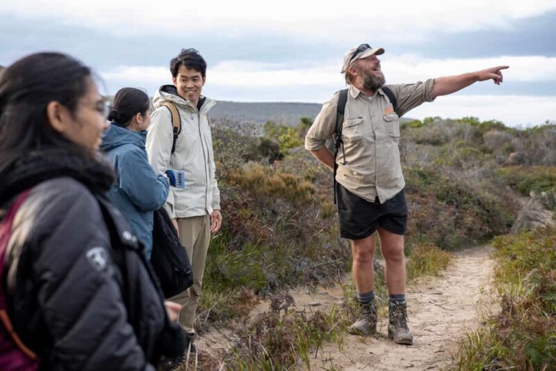 Hobart: Bruny Island Adventure: Hike, Highlights & Tastes - Transportation and Group Size