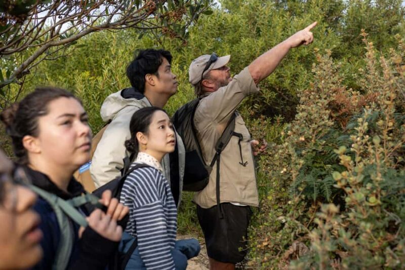 Hobart: Bruny Island Adventure: Hike, Highlights & Tastes - Final Thoughts