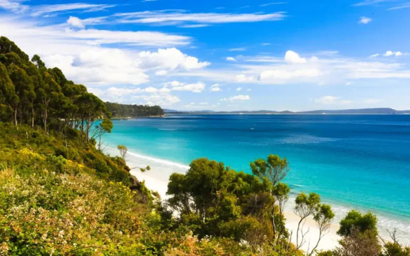 Hobart Bruny Island Full-Day Coast & Wildlife Tour - Bruny Island’s coast sets the pace