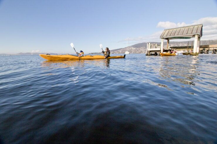 Hobart City 2.5-Hour Kayak Tour - Tour Details