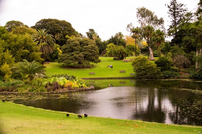 Hobart City Sightseeing Morning Tour - Cross the Derwent for the Rosny Hill view