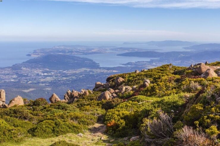 Hobart: Day Trip to Mt Wellington and MONA With Ferry Ride - Experience Highlights