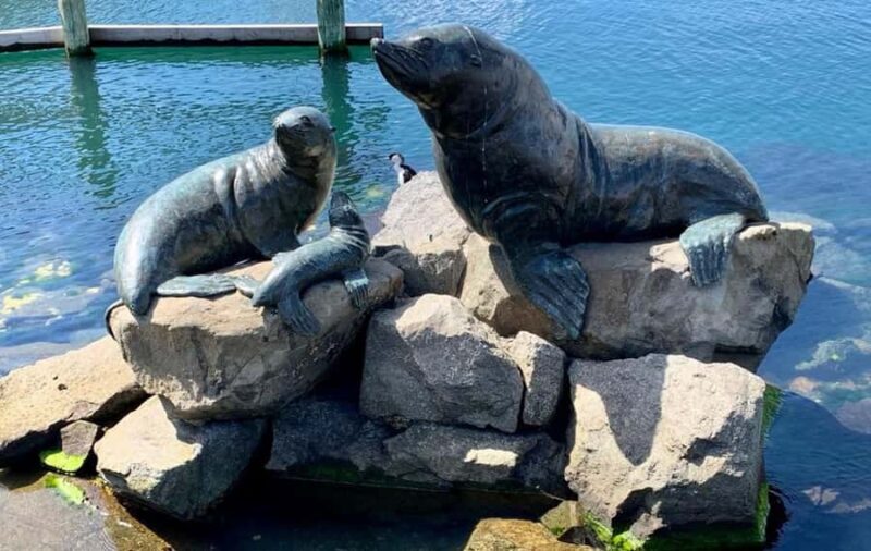 Hobart Discovery Experience - Why This Tour Offers Good Value