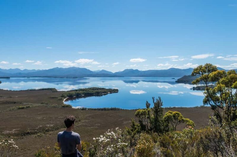 Hobart: Fly & Cruise in Southwest Wilderness Area with Lunch - Who Should Consider This Tour?