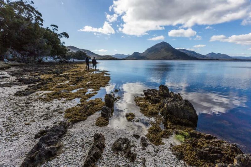 Hobart: Fly & Cruise in Southwest Wilderness Area with Lunch - The Sum Up: Is It Worth It?