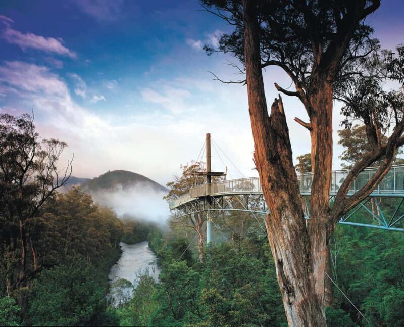 Hobart: Hastings Cave, Tahune Airwalk and Huon Tasting Trail - Good To Know