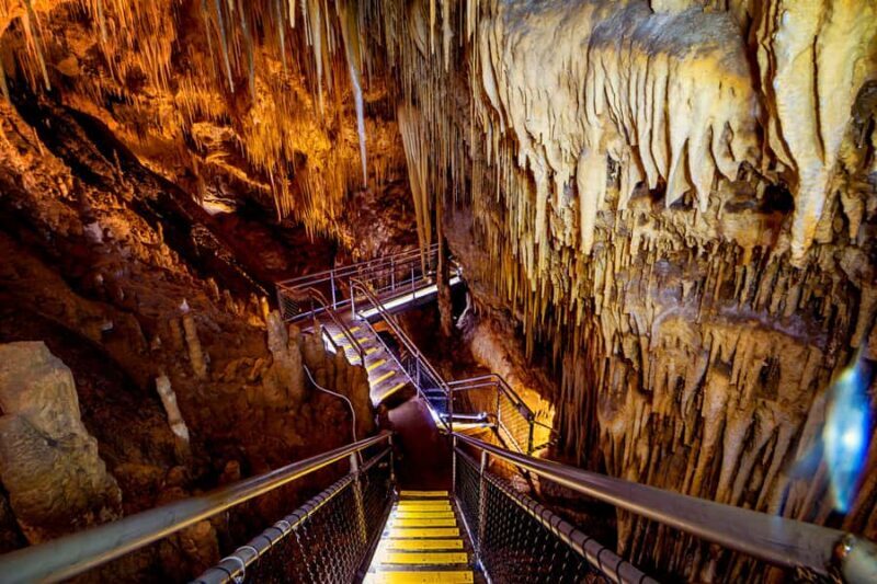 Hobart: Hastings Cave, Tahune Airwalk and Huon Tasting Trail - A Full-Day Exploration of Tasmania’s Deep South