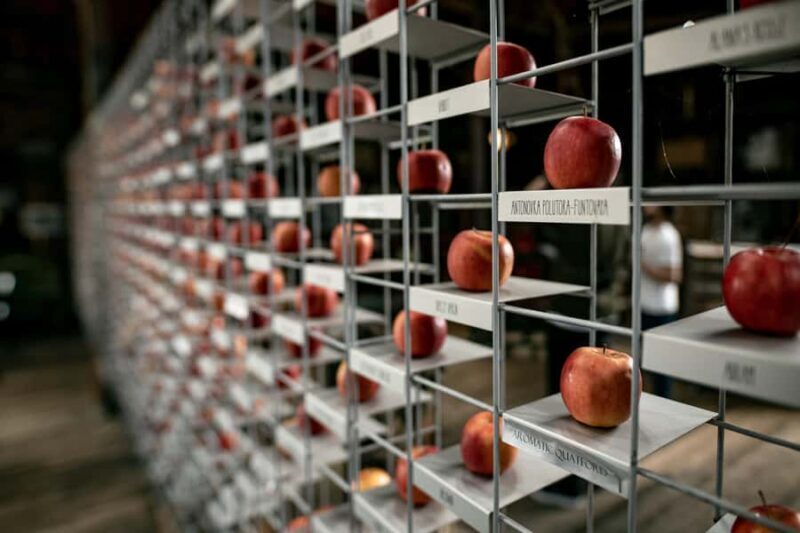 Hobart: Hastings Cave, Tahune Airwalk and Huon Tasting Trail - Who Should Consider This Tour