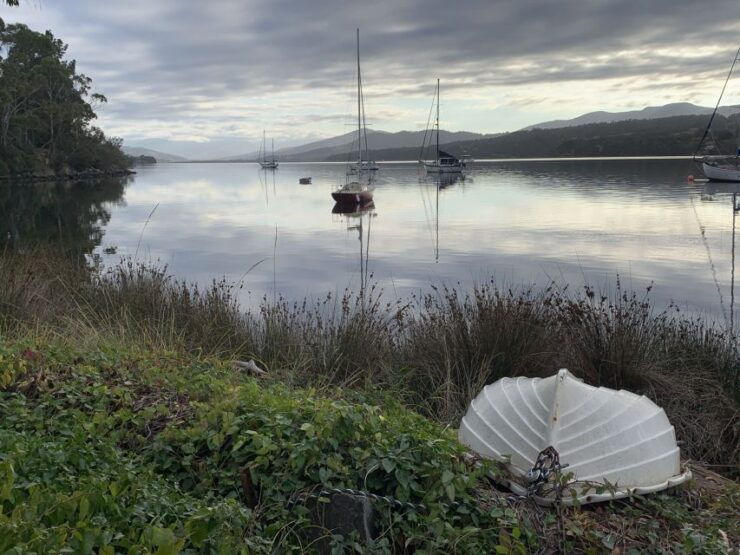Hobart: Hastings Caves, Tahune Airwalk, and Huon Valley Tour - Experience Highlights