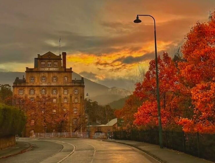 Hobart Highlights Day Tour - Booking Details