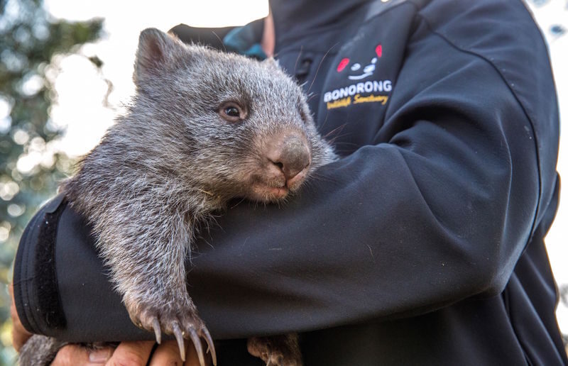 Hobart Highlights Day Tour - What to sort out before you go
