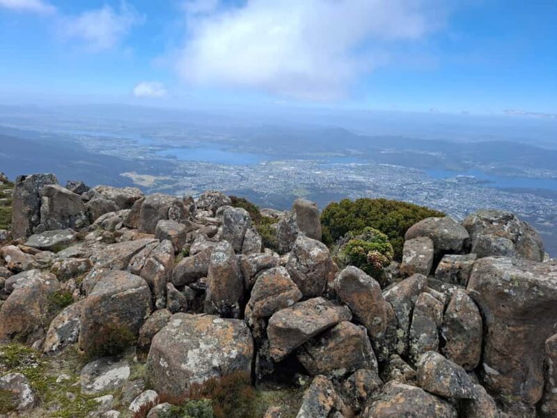Hobart Highlights & Mount Wellington Shore Excursion - Pricing & Value