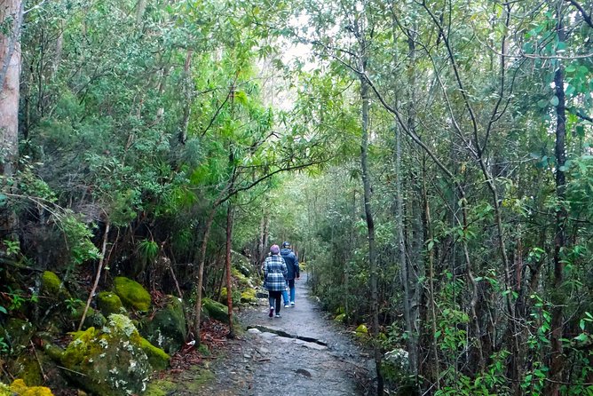 Hobart Hop-On Hop-Off Bus & Kunanyi/Mt Wellington Tour - Operating Schedule and Timetable