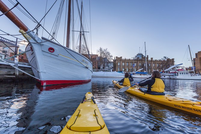 Hobart Kayak Tour - Tour Options and Overview