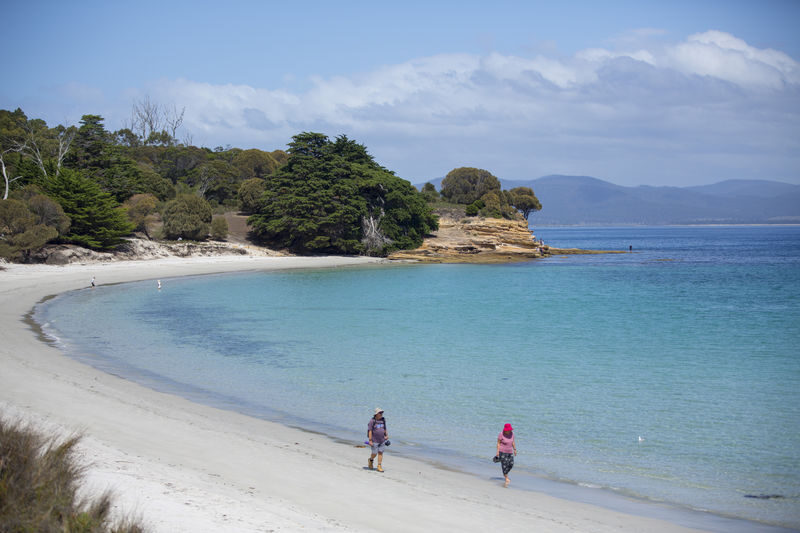Hobart Maria Island National Park - Nature & Wildlife Adventure - The guide helps tie the day together