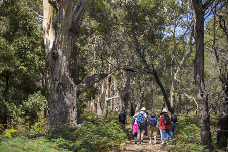Hobart Maria Island National Park - Nature & Wildlife Adventure - Pack lunch, water and shoes you can get dirty