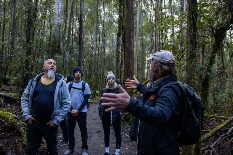 Hobart: Mt Field National Park & Wildlife Shore Excursion - Final Thoughts on the Tour’s Value
