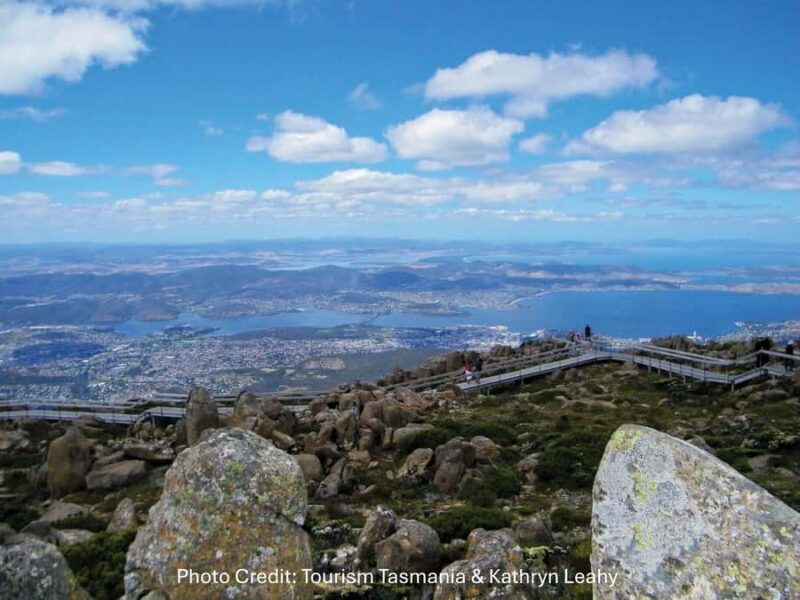 Hobart: Mt Wellington & MONA (Private Tour) - Frequently Asked Questions