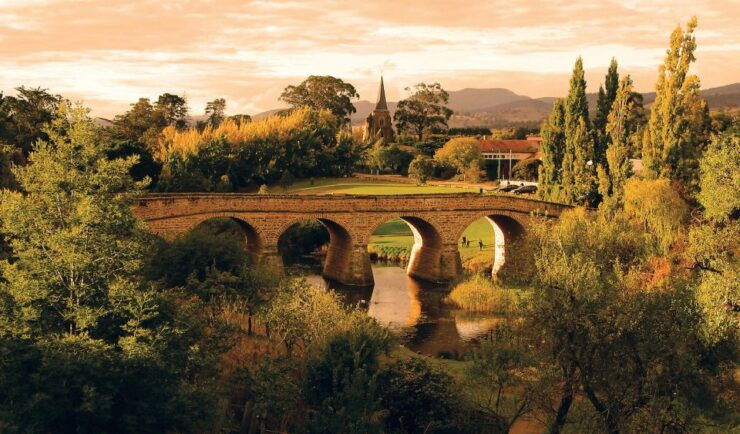 Hobart: Nipaluna Half-Day Highlights Tour With Market Visit - Experience Highlights in Hobart