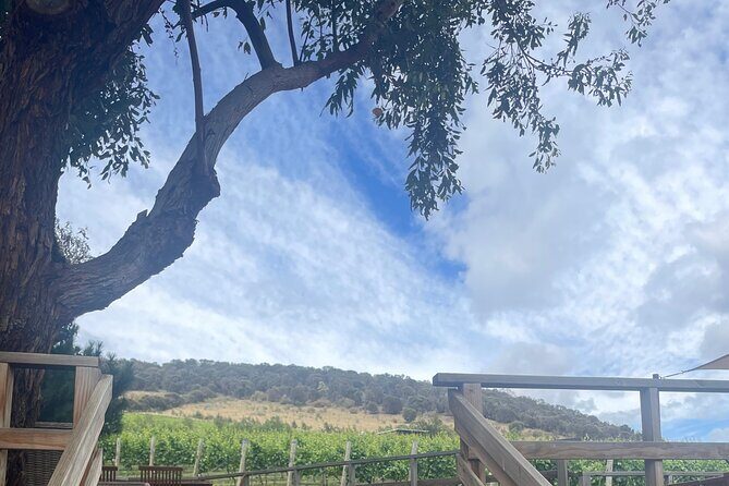 Hobart Shore Excursion Aussie Wildlife and Sighseeing Shared Tour - A Closer Look at the Itinerary: What to Expect