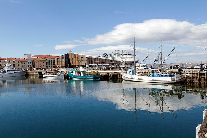 Hobart Shore Excursion: Hobart Attractions Bus - The Details of the Hobart Attractions Bus Tour