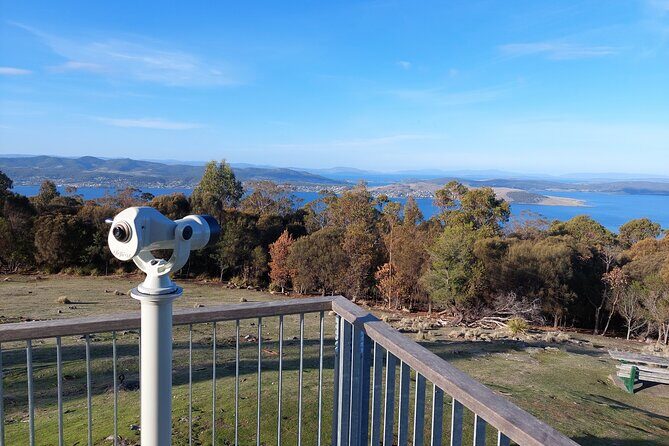 Hobart Shore Excursion: Hobart Attractions Bus - Who Should Take This Tour?