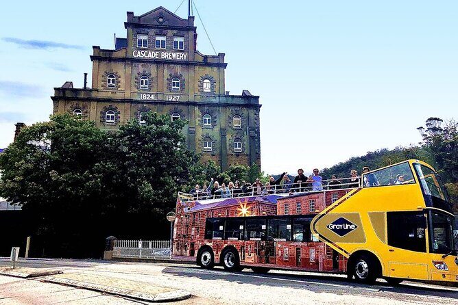 Hobart Shore Excursion- Open Top City Explorer Tour 9.30am - Good To Know