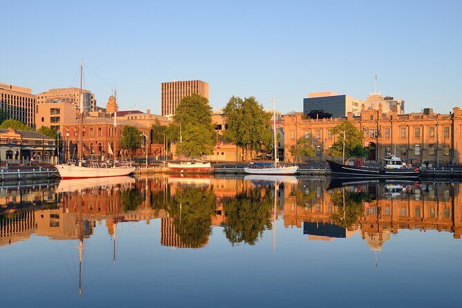 Hobart Shore Excursion- Open Top City Explorer Tour 9.30am - Why This Tour Might Be Perfect for You
