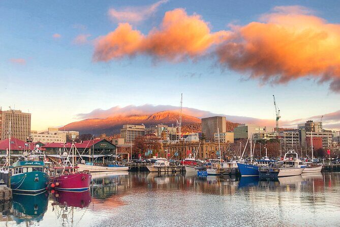 Hobart Shore Excursion- Open Top City Explorer Tour 9.30am - Final Thoughts