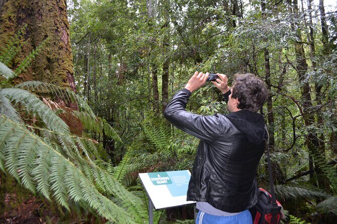 Hobart Shore Excursion Private Tour - Detailed Breakdown of the Itinerary