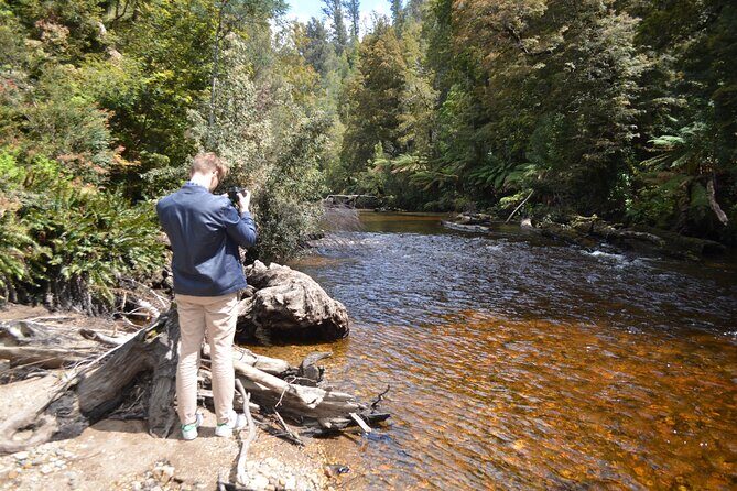 Hobart Shore Excursion Private Tour - Who Will Love This Tour?